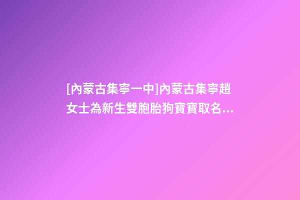 [內蒙古集寧一中]內蒙古集寧趙女士為新生雙胞胎狗寶寶取名時尚型套餐